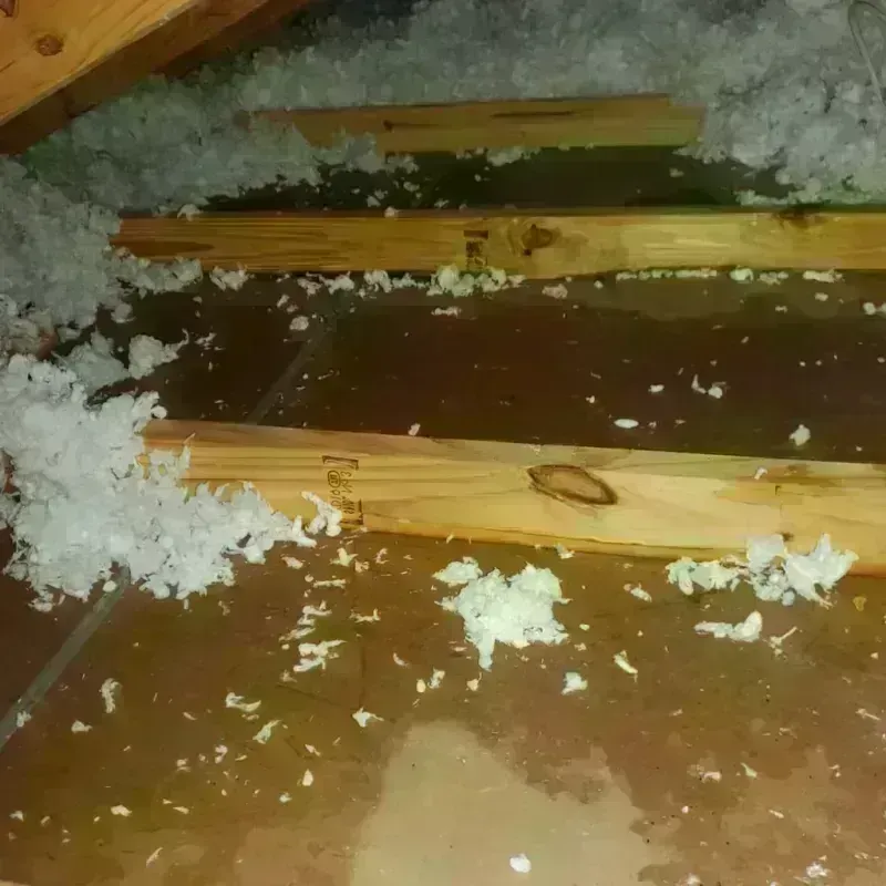 Attic Water Damage in Templeton, CA