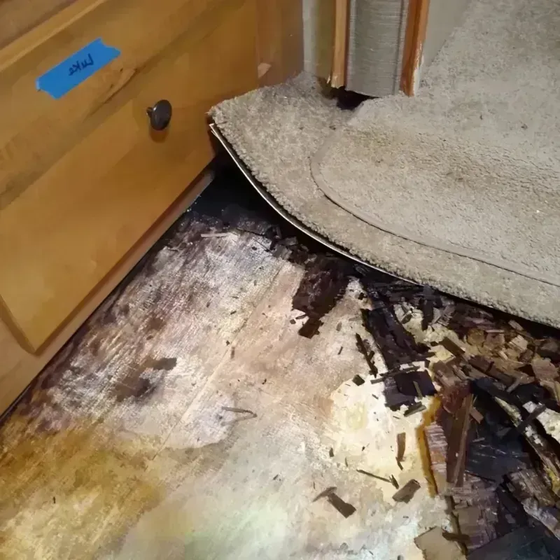 Wood Floor Water Damage in Templeton, CA